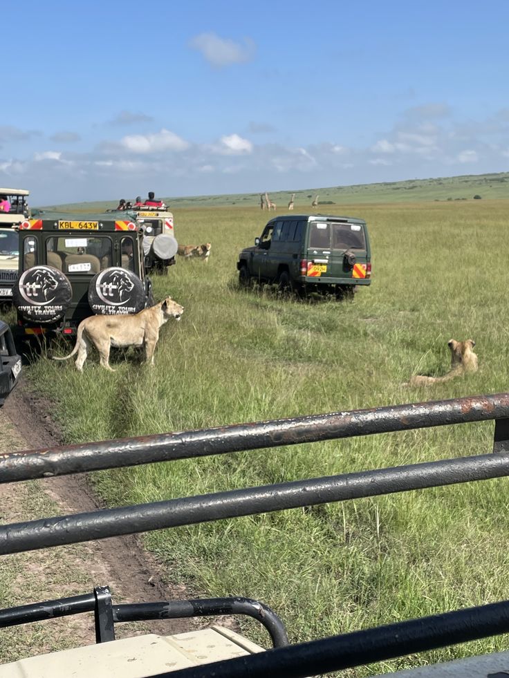Nairobi National Park