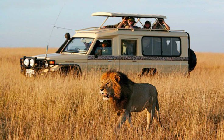 Game Drive