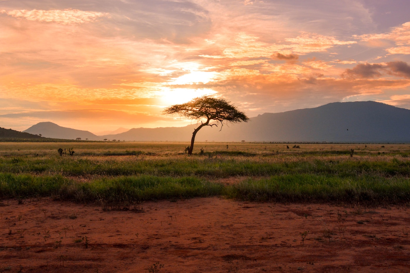 Serengeti Horizon