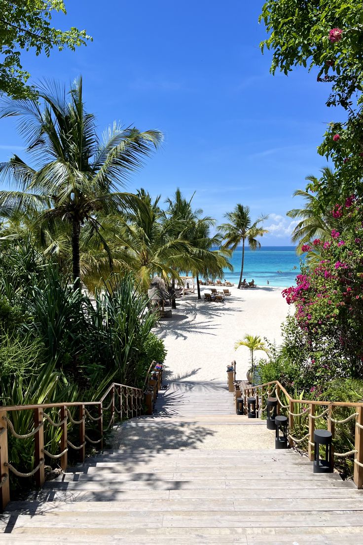 Zanzibar shores