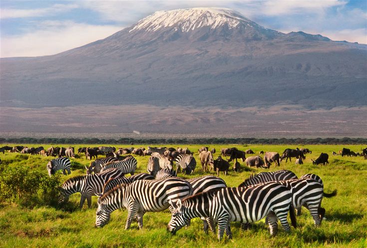 Amboseli & Kilimanjaro