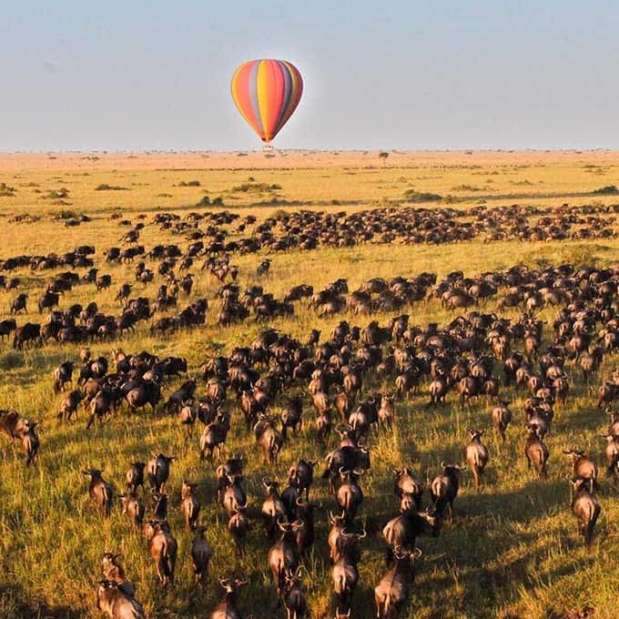 Maasai Mara & Great Migration